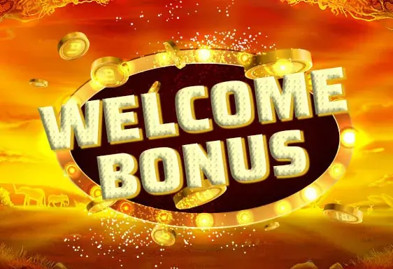 Zoome new player bonus